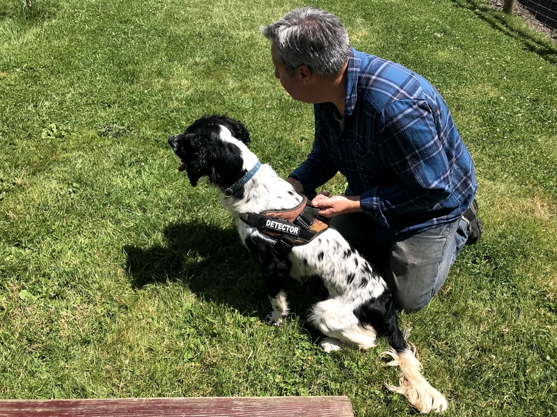 Ecology Detection Dogs