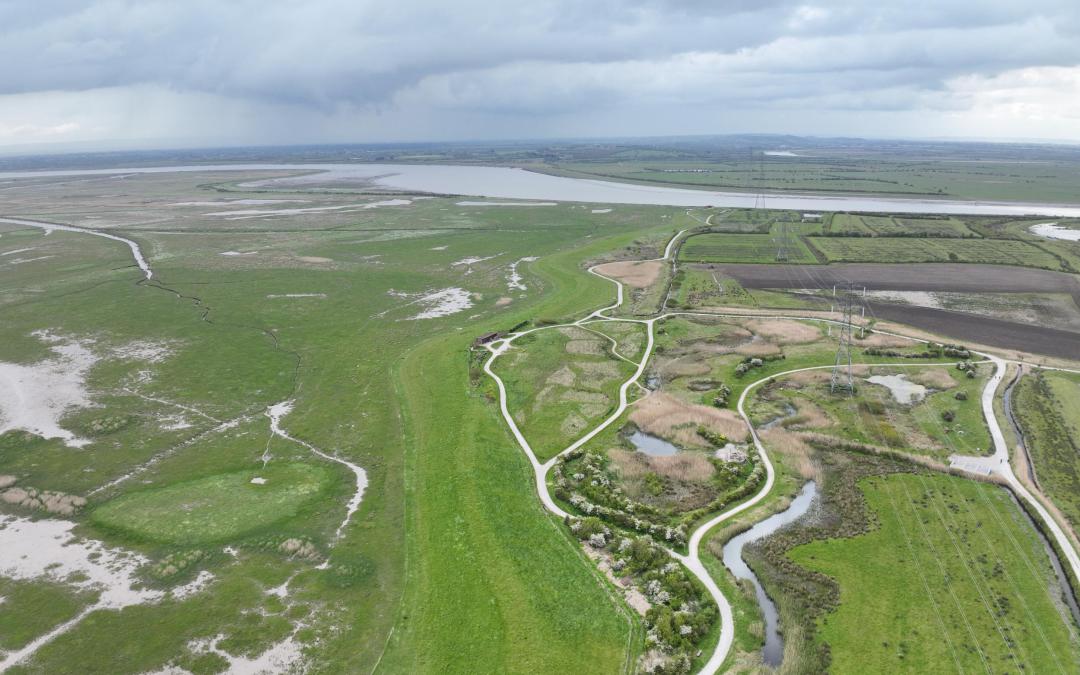 Steart Marshes