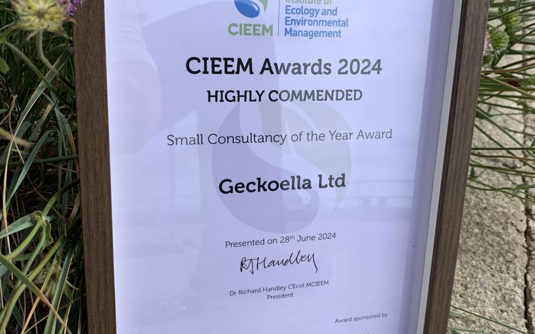 Geckoella win Highly Commended for CIEEM 2024 Small Consultancy of the Year Award!